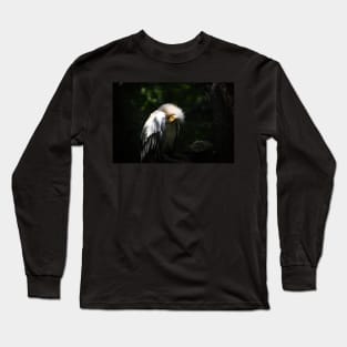 Egyptian Vulture Long Sleeve T-Shirt